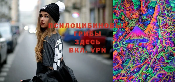 мдпв Арсеньев