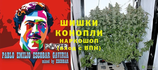 прущие крисы Баксан